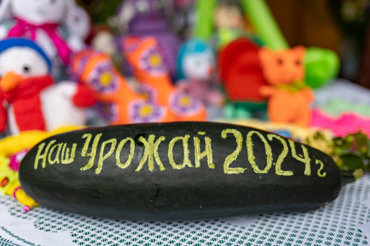 Наше радио сургут