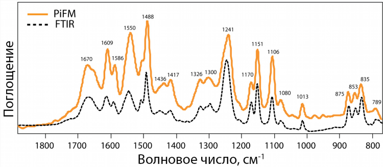 Пи фм радио какая волна