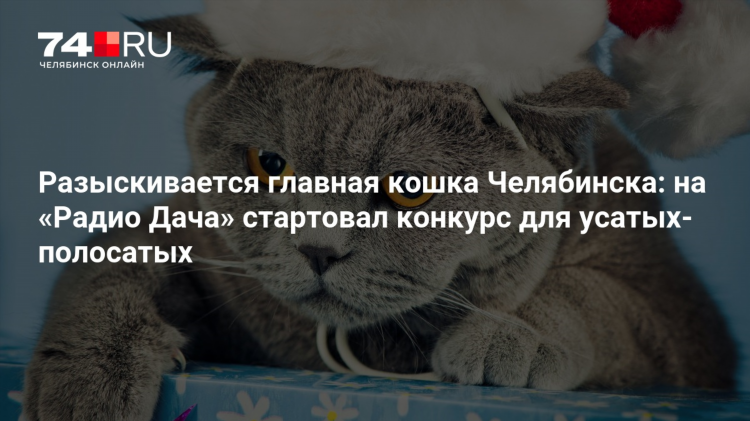 Радио онлайн дача