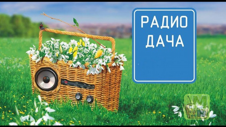 Включи радио дача